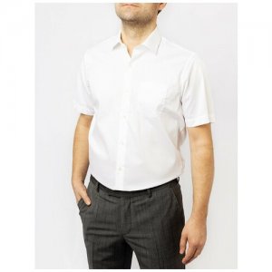 Рубашка Pierre Cardin, деловой стиль, прямой силуэт, короткий рукав, однотонная, размер 43, белый CARDIN. Цвет: белый