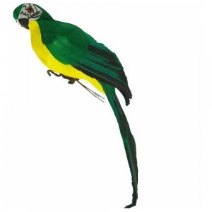 Попугай перьевой Пират средний пиратский на плечо, цвет зеленый, размер 35 см. Пиратская вечеринка. Happy Pirate. Цвет: зеленый