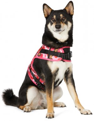 Pink Baby Milo Camo ABC Dog Harness BAPE. Цвет: pkz pink
