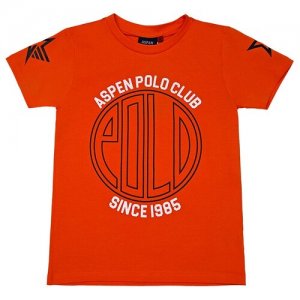 Футболка Aspen Polo Club для мальчика 1036M0541 цвет оранжевый 8 лет. Цвет: оранжевый
