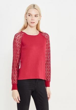 Свитшот Coquelicot. Цвет: бордовый
