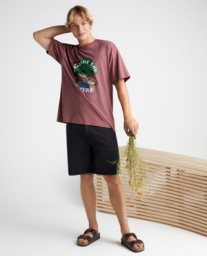 Стандартные джинсовые мужские шорты-бермуды , черный Green Coast