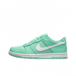 Female Dunk Low Skate shoes Nike