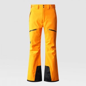 Мужские брюки Chakal Pant The North Face. Цвет: оранжевый