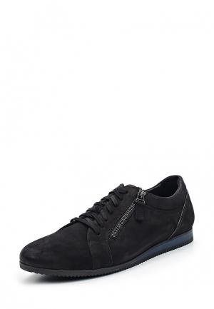 Ботинки Giatoma Niccoli. Цвет: черный