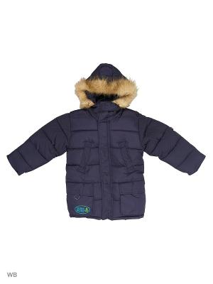 Куртка для мальчика Экология Пралеска. Цвет: синий
