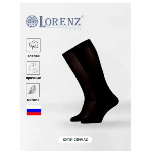 Носки , размер 27 (41-42), черный LorenzLine. Цвет: черный