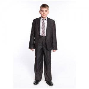 Пиджак школьный для мальчика 80 LVL Макс серый 36 (146). Цвет: серый
