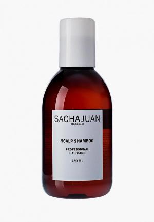 Шампунь Sachajuan для чувствительной кожи головы 250 мл. Цвет: прозрачный