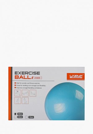 Мяч гимнастический Liveup GYM BALL. Цвет: оранжевый