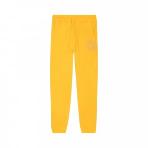 Спортивные штаны Equinox Сияющий желтый Billionaire Boys Club