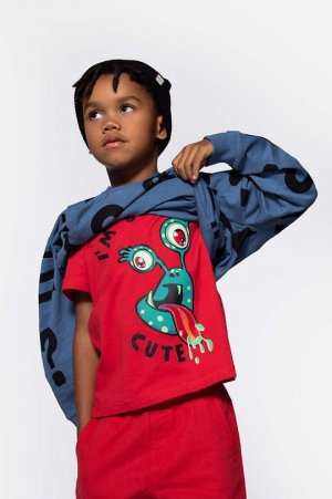 Хлопковая футболка для детей , красный Coccodrillo