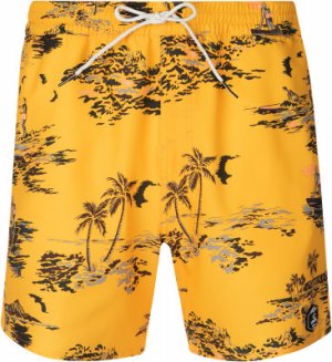 Шорты пляжные мужские ONeill Tropical, размер 50-52 O'Neill. Цвет: желтый