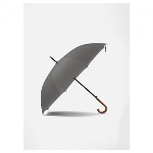Зонт мужской трость Conte серый zontcenter. Цвет: серый