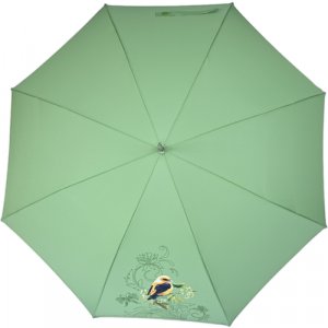 Зонт-трость, зеленый Airton. Цвет: зеленый/зелeный