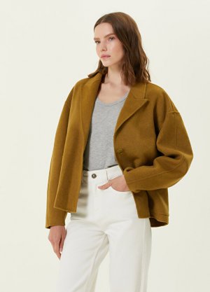 Светло-коричневое пальто с воротником-ласточкой American Vintage. Цвет: коричневый