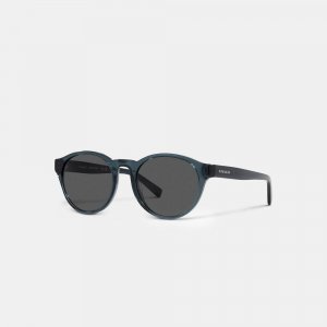 Круглые солнцезащитные очки Wythe, прозрачные синие Coach
