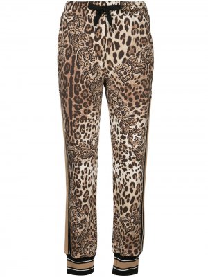 Спортивные брюки с леопардовым принтом и логотипом Dolce & Gabbana. Цвет: коричневый