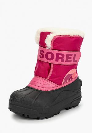 Дутики Sorel CHILDRENS SNOW COMMANDER™. Цвет: розовый
