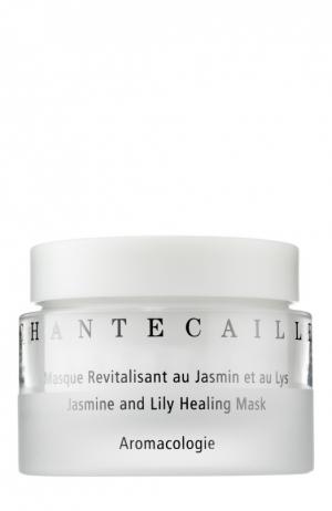 Питательная маска для лица с жасмином и лилией Jasmine and Lily Healing Mask Chantecaille. Цвет: бесцветный
