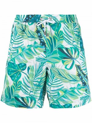 Плавки-шорты с принтом Liberty Sunspel. Цвет: зеленый