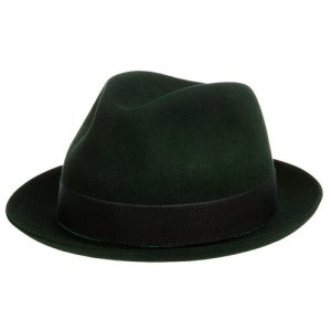 Шляпа , размер 58, зеленый Christys. Цвет: зеленый