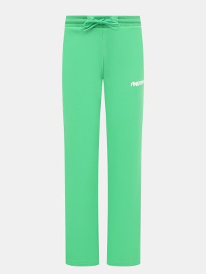 Спортивные брюки Finisterre. Цвет: зеленый