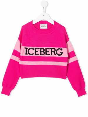 Джемпер с вышитым логотипом Iceberg Kids. Цвет: розовый