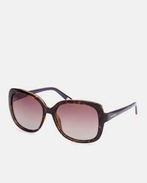 Квадратные солнцезащитные очки оверсайз в гаванском стиле , коричневый Skechers