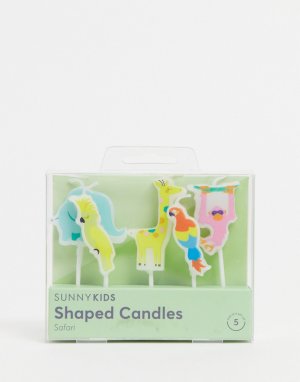 Набор из 5 свечей на день рождения тему сафари Safari-Многоцветный Sunnylife