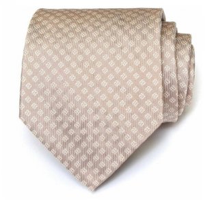 Блестящий мужской галстук 59483 Celine. Цвет: бежевый