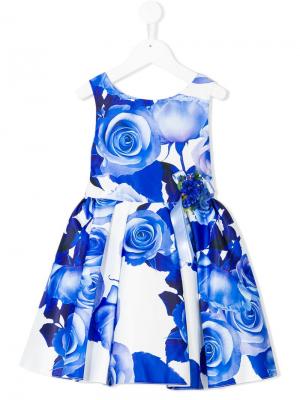 Нарядное платье с цветочным принтом David Charles Kids. Цвет: синий