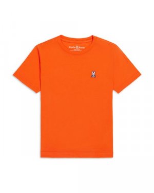 Футболка с круглым вырезом для мальчиков , цвет Orange Psycho Bunny