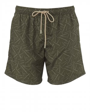 Мужские пляжные шорты CRUNA. Цвет: зеленый+принт