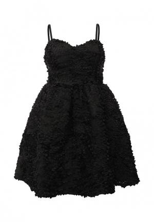 Платье Brigitte Bardot BR831EWJLH30. Цвет: черный