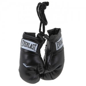 Брелок Mini Boxing Glove In Pairs красный Everlast. Цвет: красный