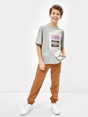 Теплые брюки-джоггеры песочного цвета для мальчиков Mark Formelle. Цвет: песочный +печать