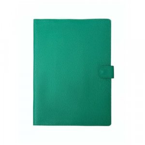 Документница для личных документов ПДГ-412, зеленый RICH LINE. Цвет: зеленый