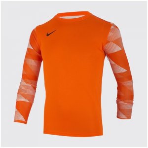 Свитер вратарский подростковый Nike Dry Park IV CJ6072-819. Цвет: оранжевый