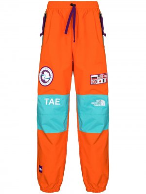 Спортивные брюки CTAE Expedition The North Face. Цвет: оранжевый