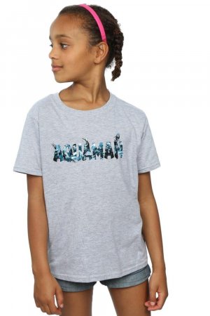 Хлопковая футболка с текстовым логотипом Aquaman , серый DC Comics