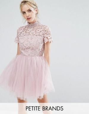 Платье мини с кружевным топом и тюлевой юбкой Chi London Petite. Цвет: розовый