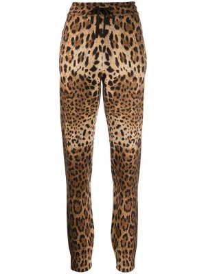 Спортивные брюки с леопардовым принтом Dolce & Gabbana. Цвет: коричневый