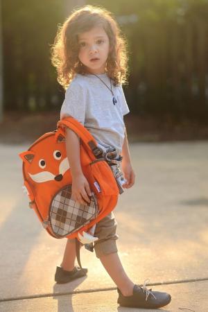 Детский рюкзак с лисой Zoocchini. Цвет: multicolor