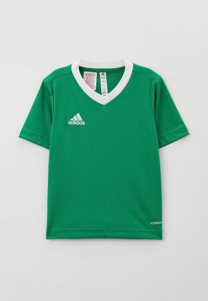 Футболка спортивная adidas ENT22 JSY Y. Цвет: зеленый