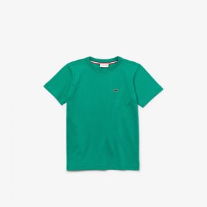 Футболки Хлопковая футболка Lacoste. Цвет: зеленый