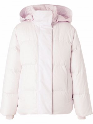 Detachable-hood padded jacket Burberry. Цвет: розовый