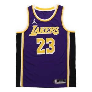 Майка Los Angeles Lakers LeBron James Statement Jersey 'Purple Yellow', фиолетовый Nike