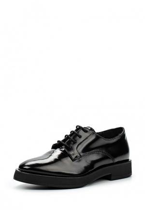 Ботинки Carmens Padova. Цвет: черный