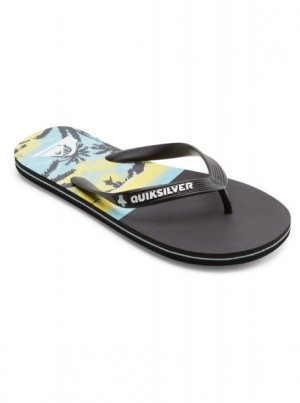 Мужские сланцы Molokai Panel QUIKSILVER. Цвет: black 4